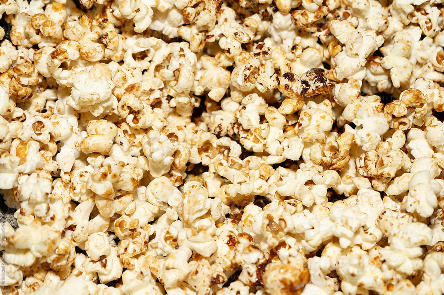 gid://shopify/MediaImage/51502839824705