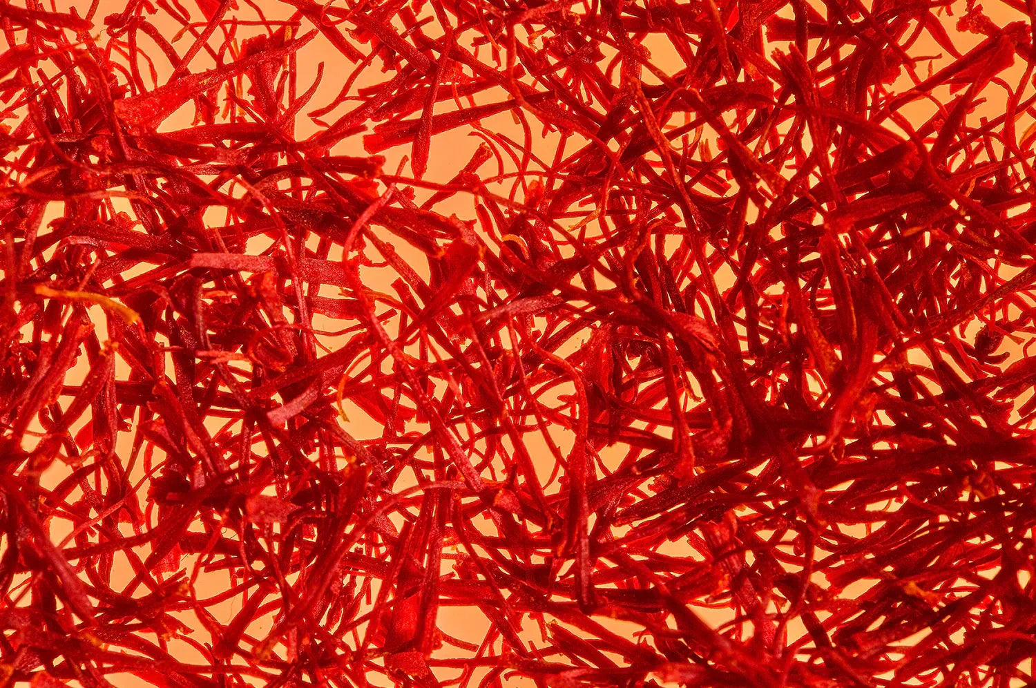 A close-up photograph of THE FULLEST's vibrant red saffron threads, intricately intertwined against a warm, golden background. The fine strands showcase the rich color and delicate texture of high-quality saffron.