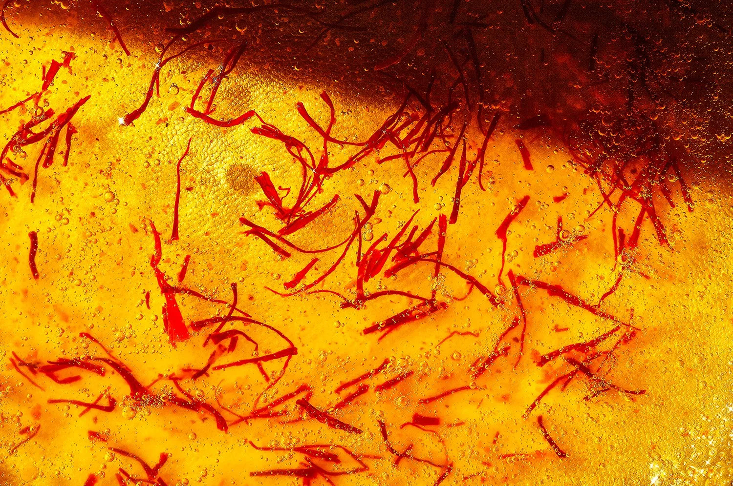 A close-up of saffron threads from The Fullest in a saffron latte beverage.