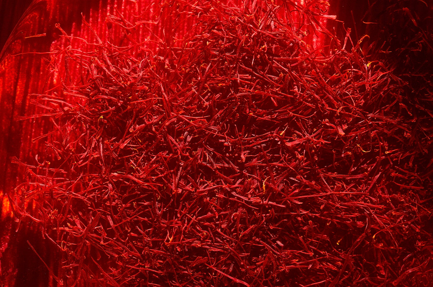 A close-up view of a pile of saffron threads from The Fullest.