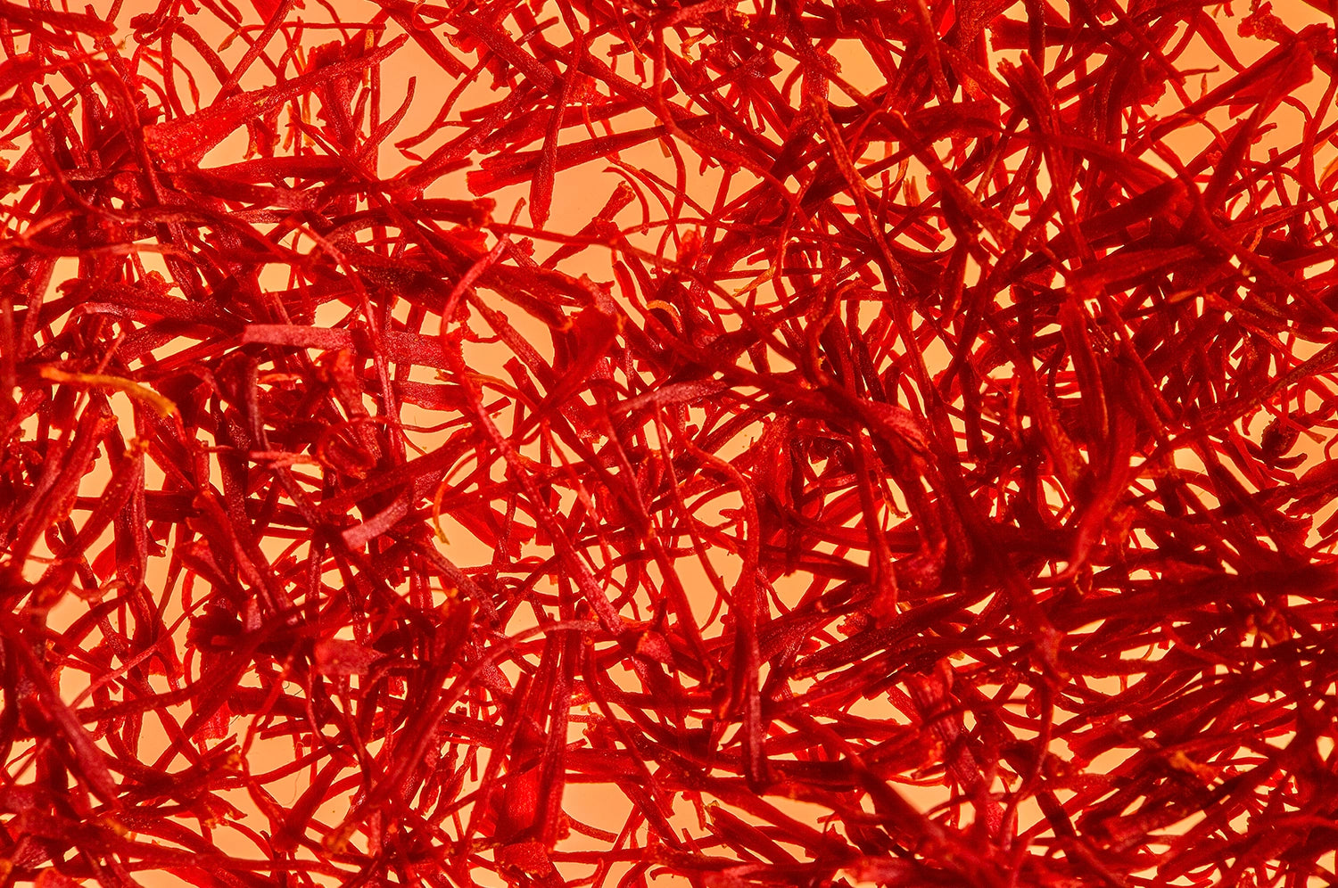 An up-close image of The Fullest's saffron threads on an orange surface.